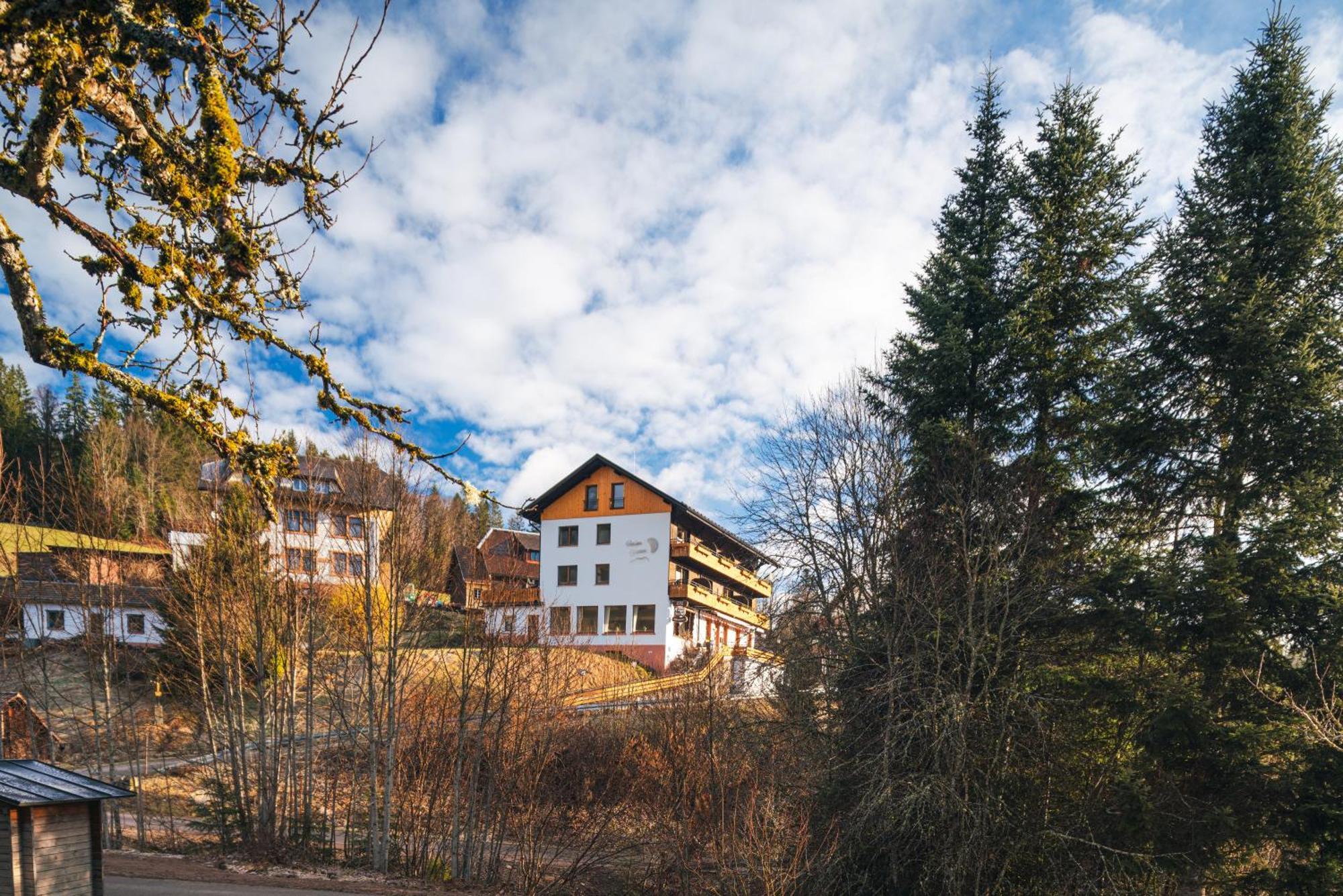 Boutique Hotel And Apartments Pension Sternen Todtmoos Buitenkant foto